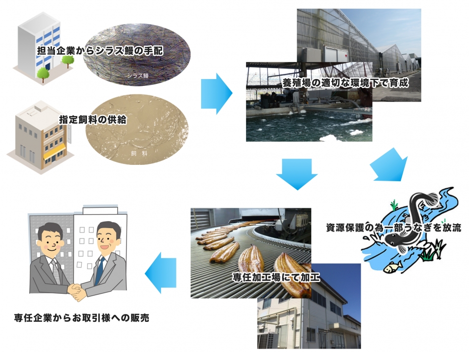 ◆本プロジェクトの概要